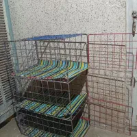 قفس جفت کن کبوتر