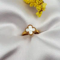 نیم ست گل سرخ|بدلیجات|کرمانشاه, |دیوار