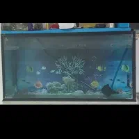 اکواریوم تمیز