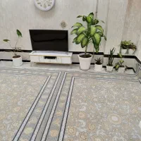 معاوزه آپارتمان شخصی