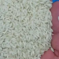 فروش برنج عنبر خوزستان
