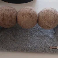 اسکرچر