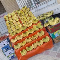 نیازمند شاگرد میوه فروشی یا بار پاکت کن