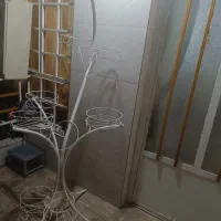 ساعت وظروف پذیرایی