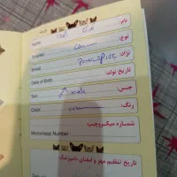 فروش سگ|سگ|سیرجان, |دیوار