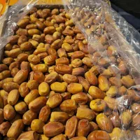 خرمای زاهدی