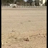 زمین فاز ۳ نیروی دریایی