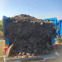 کود گوسفندی درجه یک پول دو گونی کود|خدمات باغبانی و درختکاری|باروق, |دیوار