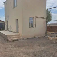 ۱۲ هکتار با ۷۰۰۰ متر گاوداری با مجوز و امکانات|فروش دفتر صنعتی، کشاورزی، تجاری|مرادلو, |دیوار