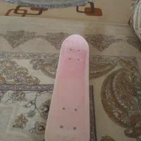 اسکیت برد