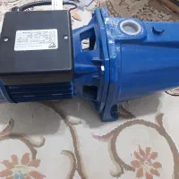 کارواش یک اسب قوی
