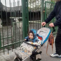 کالسکه نو خارجی