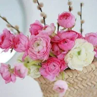 فروش حواله سهند s