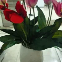 حراج|حراج|کرج, کمال‌شهر|دیوار