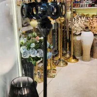 آباژور کنار سالنی بلک