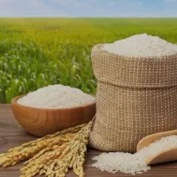 برنج ازشما فروش ازما