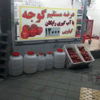 گوجه برای رب