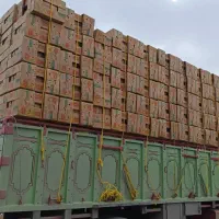 کارتن موزی یا موز|عمده‌فروشی|اردبیل, |دیوار