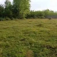 فروش زمین ۲۲۰۰ متری در شمال|فروش زمین و ملک کلنگی|اصفهان, باغ فردوس|دیوار