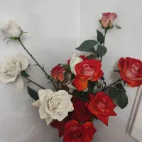 گل به همراه گلدان درحدنو|گل مصنوعی|رشت, پل تالشان|دیوار