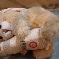 عروسک های سالم|اسباب‌بازی بچه|گرگان, |دیوار