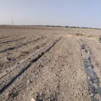 پمپ برقی زمین کشاورزی اجازه ای