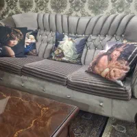 راحتی هفت نفره