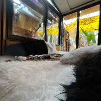 اجاره کوتاه مدت|اجارهٔ کوتاه‌مدت آپارتمان و سوئیت|کرج, مهرویلا شمالی|دیوار