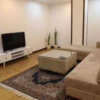 اجاره روزانه کوتاه مدت مبله میرداماد ونک