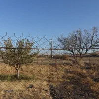 فروش زمین کشاورزی|اجارهٔ دفتر صنعتی، کشاورزی، تجاری|میانه, |دیوار