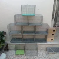 تعدادی قفس حرفه ای و بازاری به همراه لانه