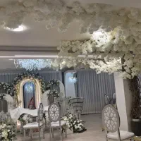 برقکار حرفهای