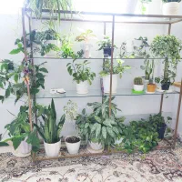 فروش استند گل و گیاه
