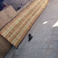 چیت سالم نو