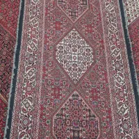 فرش دستبافت کناره|فرش|زنجان, |دیوار