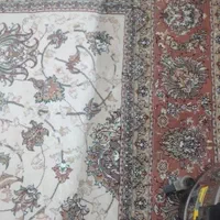 مبل شویی و فرش شویی دلربا|خدمات نظافت|کنارک, |دیوار