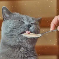 منشی و فروشنده خانم|استخدام بازاریابی و فروش|قم, میدان نو|دیوار