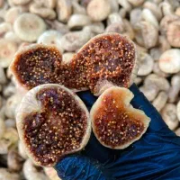 دختر روستایی|عمده‌فروشی|طارم, |دیوار