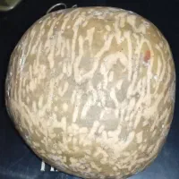 عقیق طلایی