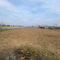 ۲۵۰ متر زمین داخل طرح فقط ۳۵۰ میلیون ویشکاننک|فروش زمین و ملک کلنگی|رشت, بلوار گیلان|دیوار
