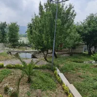 زمین مسکونی وباغی وباغ چای سنددار|فروش زمین و ملک کلنگی|سیاهکل, |دیوار