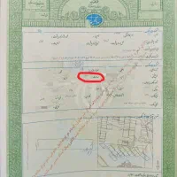 فروش-زمین-شالیزار-بیجار