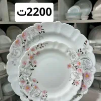 ارکوپال|ظروف سرو و پذیرایی|مشهد, شفا|دیوار