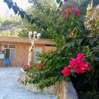 ویلا باغ*پاوه*روستای دشه* تفرجگاه سراب هانی کوان|اجارهٔ کوتاه‌مدت ویلا و باغ|جوانرود, |دیوار