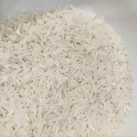 برنج فجر سوزنی