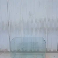 آکواریوم ماهی|ماهی|ری, تقی آباد|دیوار