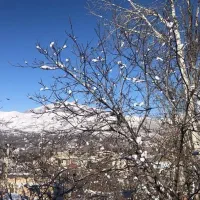 450متر-باغچه-با-چشم-انداز-ابدی-قله