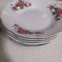 ظروف چینی گل سرخ|ظروف سرو و پذیرایی|بیرجند, |دیوار