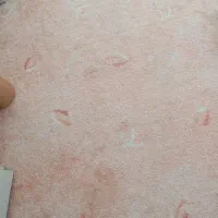 بخاری و گلیم و موکت|موکت|مریوان, |دیوار