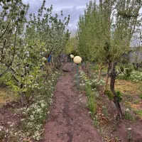 فروش باغ|فروش خانه و ویلا|اشتهارد, |دیوار